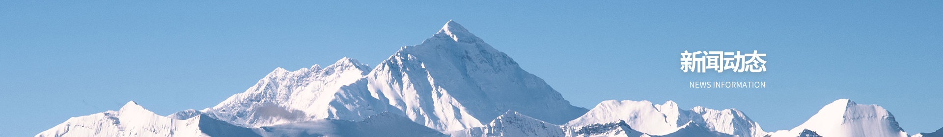 绿铅笔陪伴计划